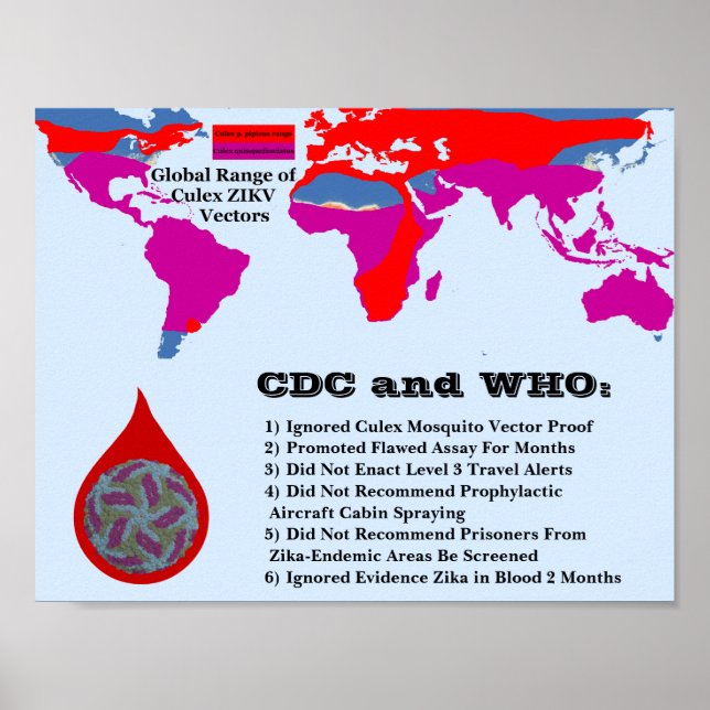 Pôster CDC e OMS não protegeram os cidadãos por RoseWrite (Frente)