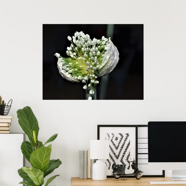 Poster Cebola de Primavera de flores (Escritório em casa)