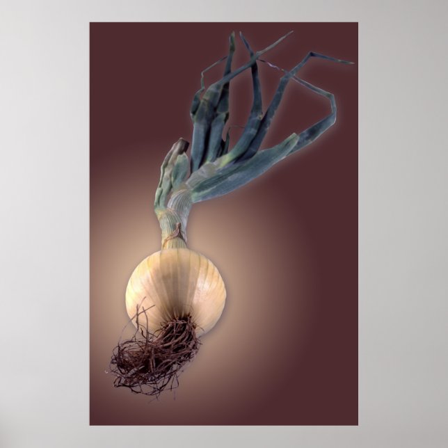 Pôster Cebola doce (Frente)