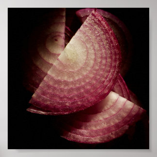 Poster Cebola vermelha