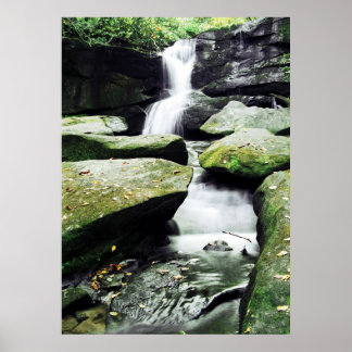 Pôster CedarRockFalls_100_026