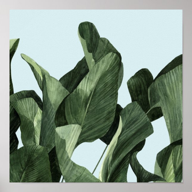 Poster Celadon Palms (Frente)