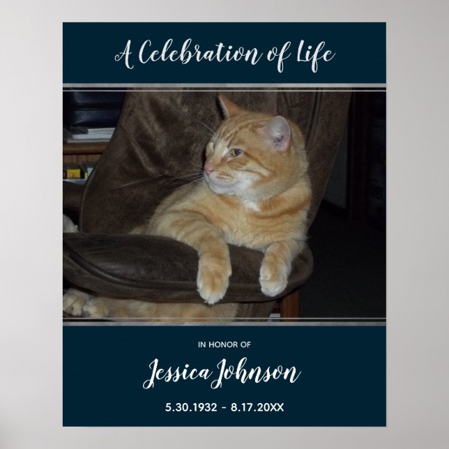 Poster Celebração da Foto da Entrada da Vida Um Foto (Frente)