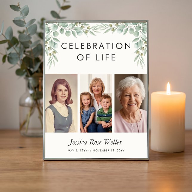 Poster Celebração da Vida com Eucalipto 3 Foto Bem-vindo (Poster available printed or download - Eucalyptus Celebration of Life collection by Darling & May)