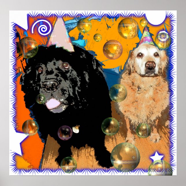 Pôster Celebrar! (Frente)