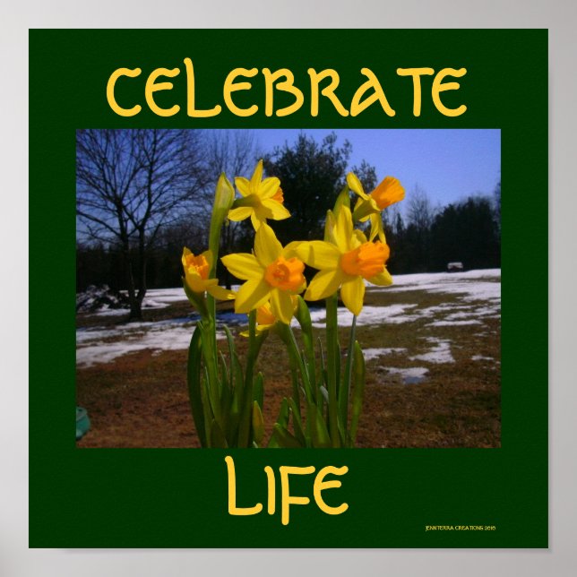 Poster celebrar vida/primavera (Frente)