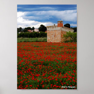 Poster Celeiro Rural em Retrato de Campo de Papoulas