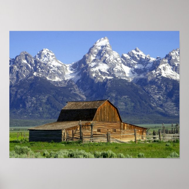 Poster Celeiro Solitário em Grand Tetons (Frente)