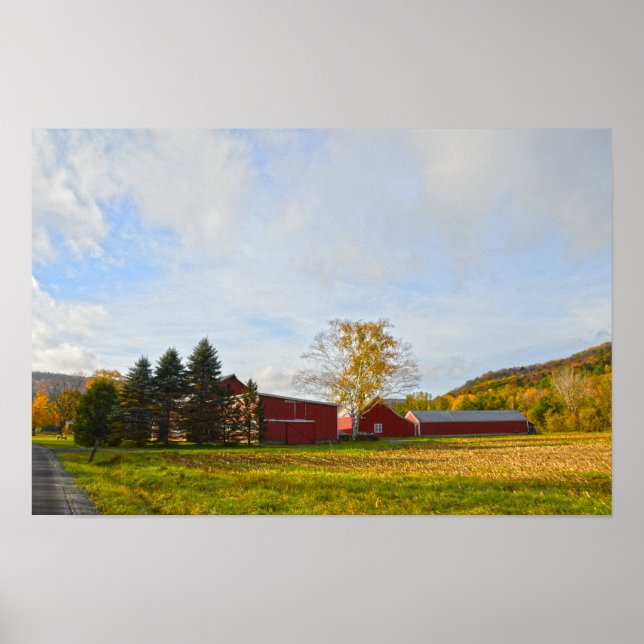 Poster Celeiros Vermelhos de Vermont no Outono (Frente)