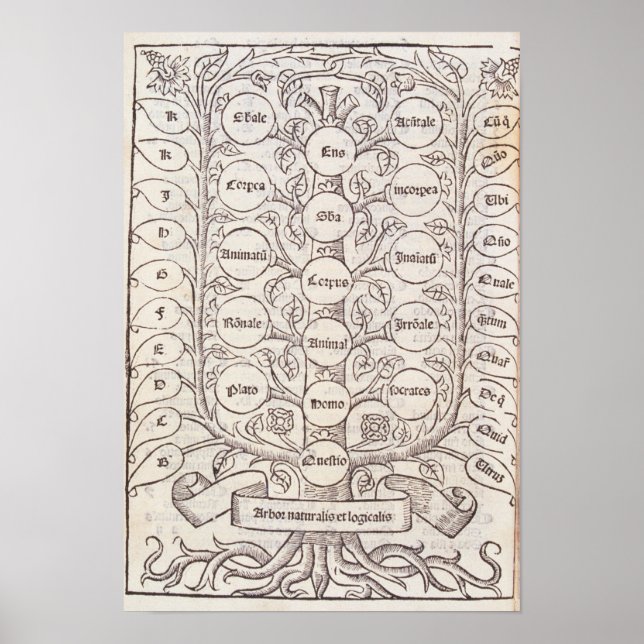 Poster Celestial ladder (Frente)