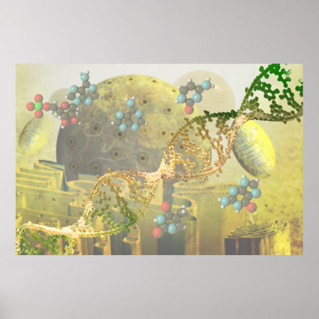 Pôster Célula com DNA (Frente)