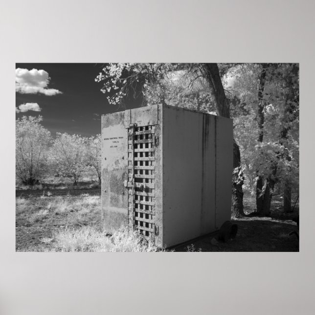 Pôster Célula de Cisão Antiga (Frente)