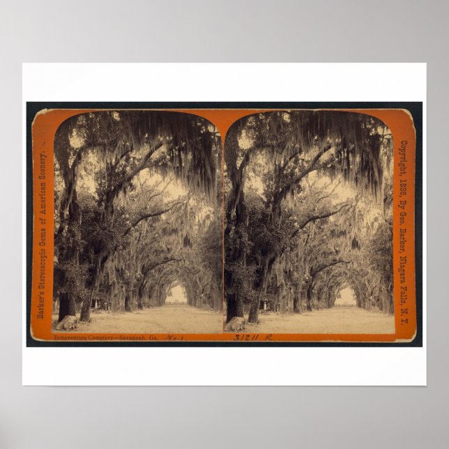 Pôster Cemitério de Bonaventure, Savannah, Ga c. 1887 (Frente)