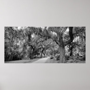 Poster Cemtery, Savannah Ga, MD Photoics