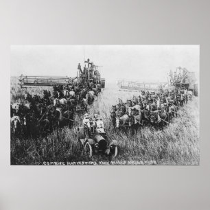 Poster Cena da ceifeira de liga