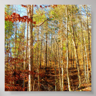 POSTER CENA DA FLORESTA