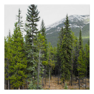 Pôster Cena da floresta e da montanha