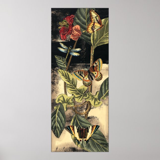 Pôster Cena da Natureza Escura pelo Vision Studio (Frente)