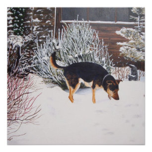 Pôster Cena da neve do inverno com o cão preto e tan
