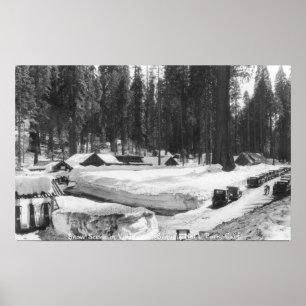 Poster Cena da neve do parque nacional de sequóia na vil