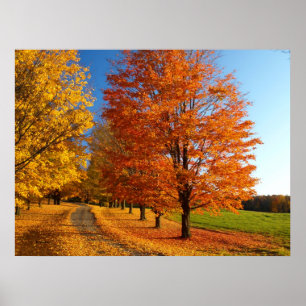 Poster Cena da queda em Vermont