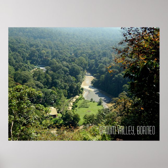 Poster Cena da Selva da Floresta Tropical de Danum Valley (Frente)
