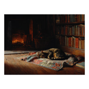 Pôster Cena de Biblioteca com Gato e Lareira Aconchegante