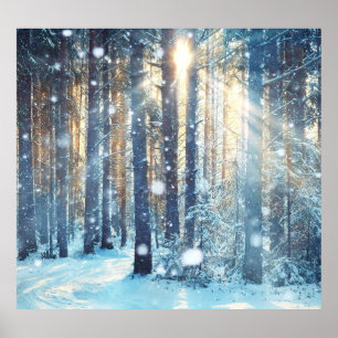 Poster Cena de inverno gelada da Floresta de Neve