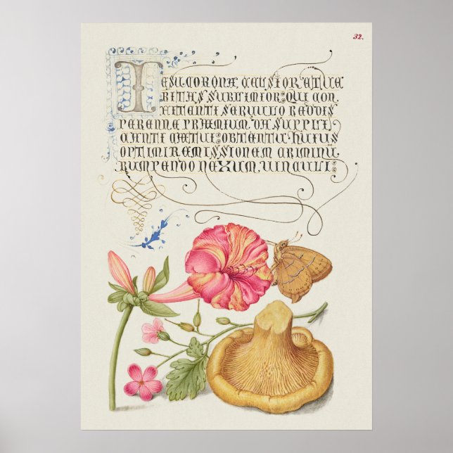 Poster Cena de jardim com flores, borboleta e cogumelo (Frente)