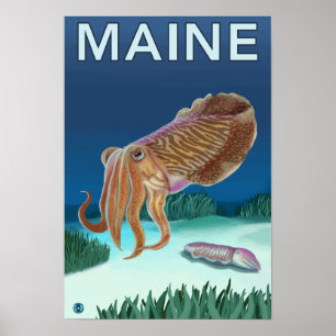 Poster Cena de MaineCuttlefish