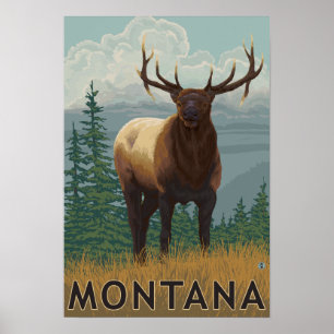 Pôster Cena de MontanaElk