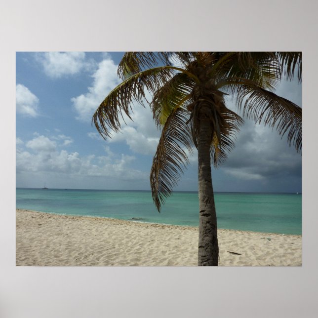 Poster Cena de natureza linda da praia de Aruba (Frente)