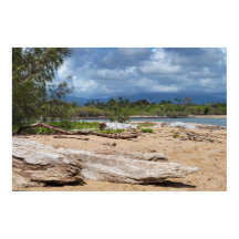 Cena de Praia da Driftwood