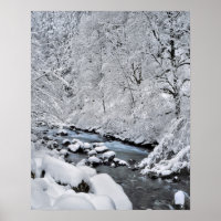 Cena de riachos brancos de neve, Oregon