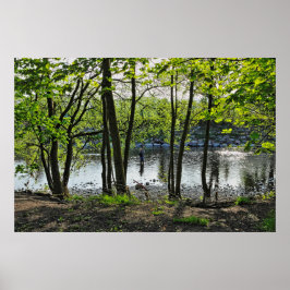 Poster Cena de Woodland. Blackweir Woods, Cardiff