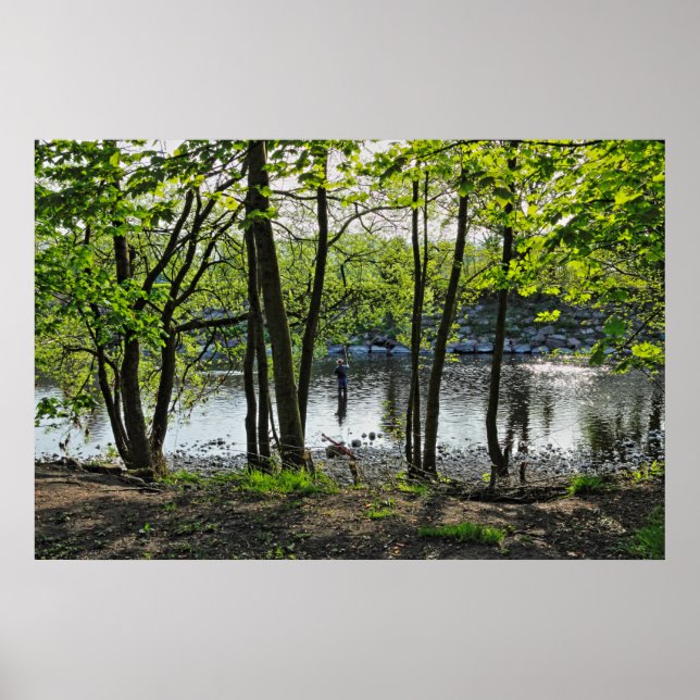 Poster Cena de Woodland. Blackweir Woods, Cardiff (Frente)