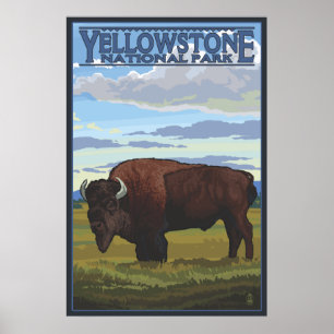 Poster Cena do bisonte - parque nacional de Yellowstone