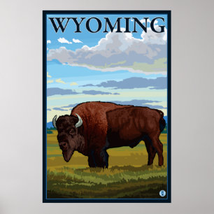 Poster Cena do bisonte - Wyoming