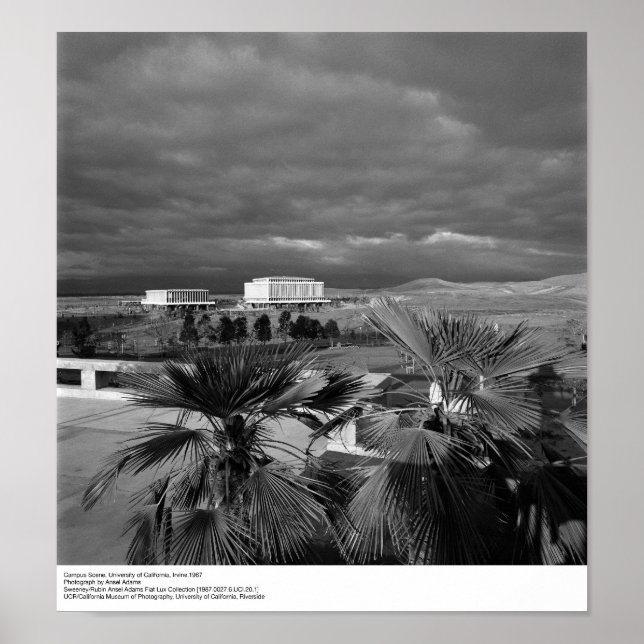 Poster Cena do Campus, UC Irvine, 1967 (Frente)
