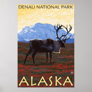 Pôster Cena do caribu - parque nacional de Denali, Alaska