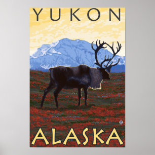 Poster Cena do caribu - Yukon, Alaska