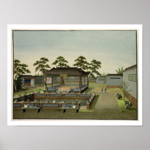 Pôster Cena do jardim, c.1820-40 (w/c no papel) 4