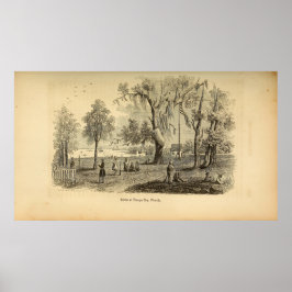 Poster Cena na Baía de Tampa