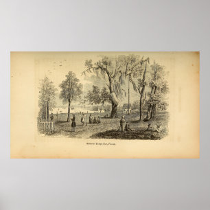 Poster Cena na Baía de Tampa