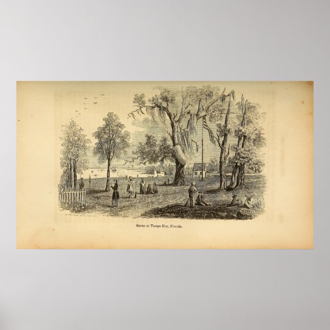 Poster Cena na Baía de Tampa (Frente)