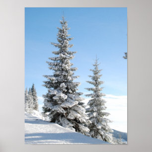 Poster Cena nevado do inverno com árvores de Natal