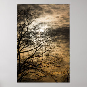 Pôster Cena Sol Nublada