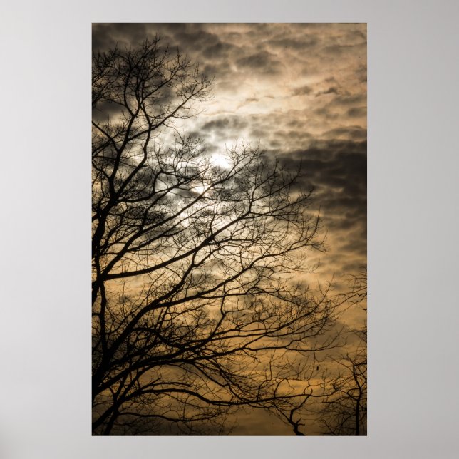 Pôster Cena Sol Nublada (Frente)