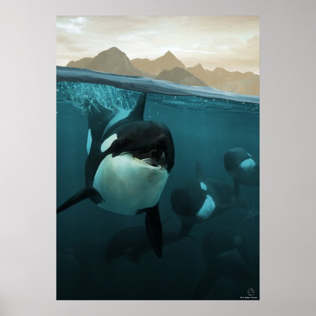 Poster Cena submarina com família de orca (Frente)