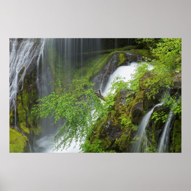 Poster Cenário da Cachoeira Verde (Frente)
